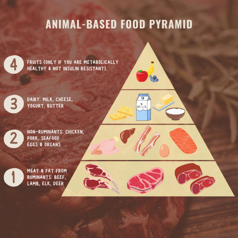 research on animal based diet